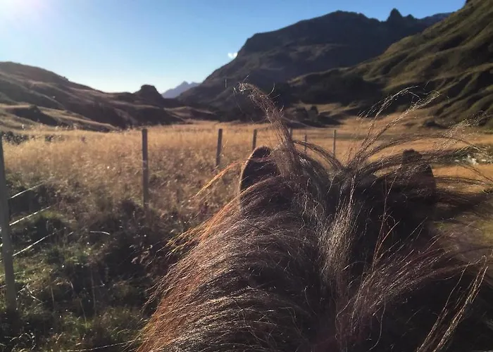 Flo Lofoten Nature Escape Valberg
