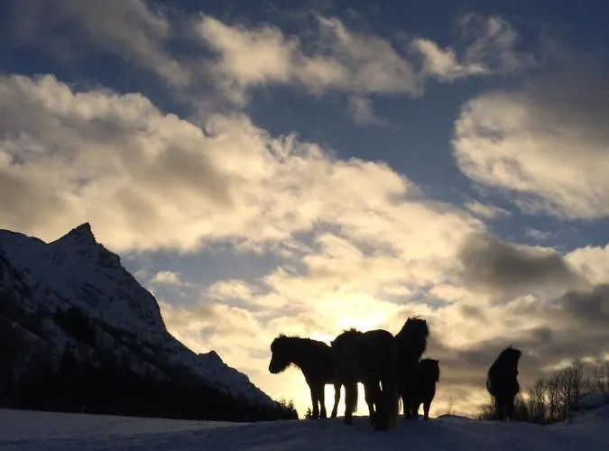 豪华帐篷 Flo Lofoten Nature Escape *