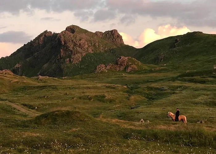 Flo Lofoten Nature Escape